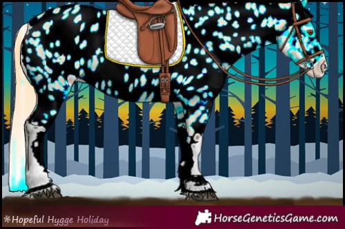 Horse Color:Buckskin Dun Appaloosa 