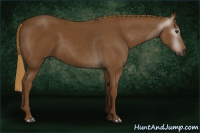 Horse Color:Gray Chestnut 
