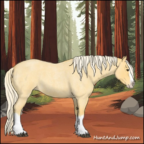 Horse Color:Palomino Roan Splash 