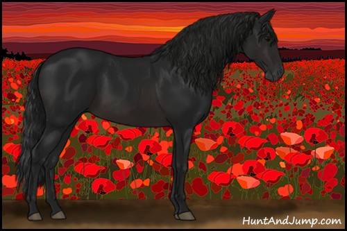 Horse Color:Gray Brown 