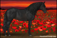 Horse Color:Gray Brown
