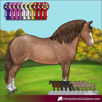 Horse Color:Brown Pearl 