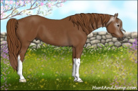 Horse Color:Gray Chestnut 