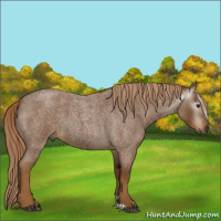 Horse Color:Gray Red Roan 