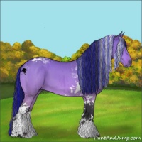 Horse Color:Painted Bay Chinchilla Dun Tobiano Brindle 