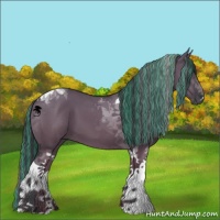 Horse Color:Painted Grullo Tobiano 