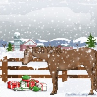 Horse Color:Gray Chestnut 