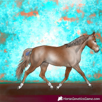 Horse Color:Gray Chestnut 