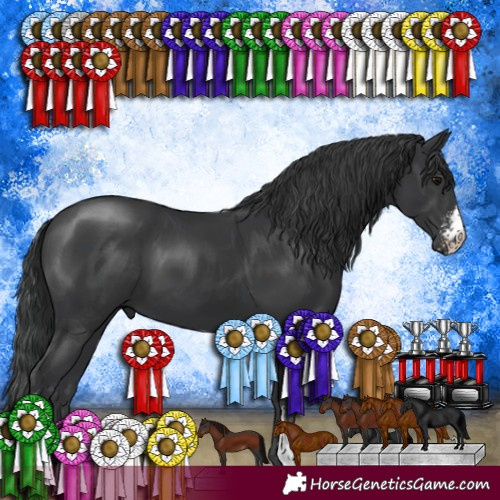 Horse Color:Black Sabino