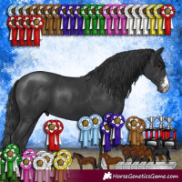 Horse Color:Black Sabino