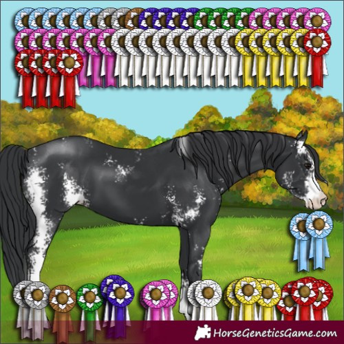 Horse Color:Black Sabino 
