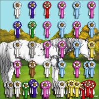 Horse Color:Black Sabino