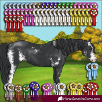 Horse Color:Black Sabino