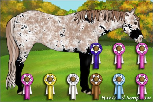 Horse Color:Chestnut Ice Sabino 