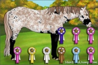 Horse Color:Chestnut Ice Sabino 