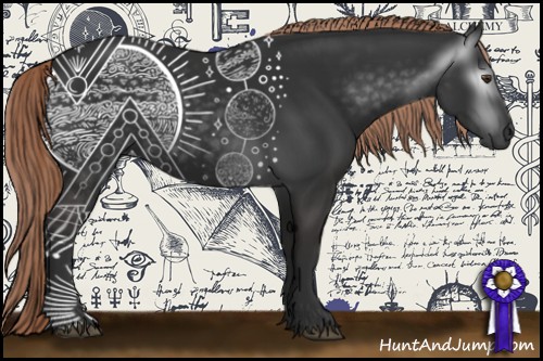 Horse Color:Gray Liver Chestnut
