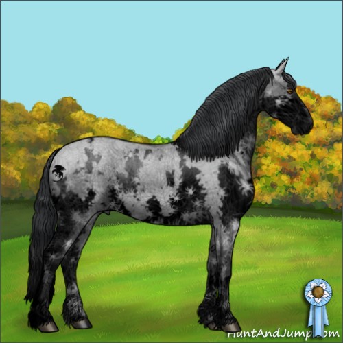 Horse Color:Void White Spotted Grullo Chinchilla Splash 