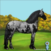 Horse Color:Void White Spotted Grullo Chinchilla Splash 