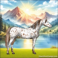 Horse Color:Chestnut Appaloosa 
