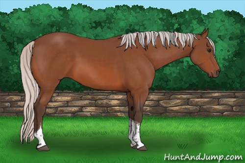 Horse Color:Silver Bay Tobiano 