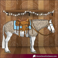 Horse Color:Palomino Ice Dun Splash 