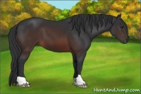 Horse Color:Brown 