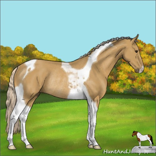 Horse Color:Palomino Tobiano Rabicano