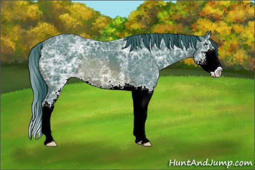 Horse Color:Watercolor White Spotted Brown Ice Splash