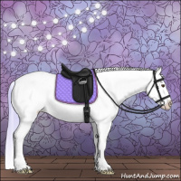 Horse Color:Watercolor Buckskin Ice Roan Dun Splash Varnish 