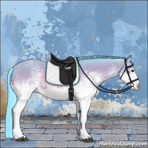 Horse Color:Watercolor White Spotted Bay Rabicano 