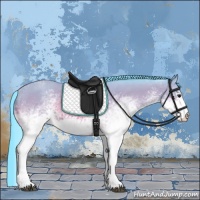 Horse Color:Watercolor White Spotted Bay Rabicano 