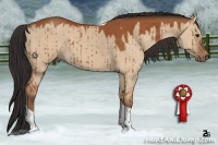 Horse Color:Bay Dun Tobiano Brindle 