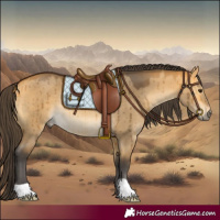 Horse Color:Buckskin Dun Rabicano Brindle 