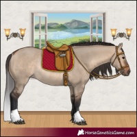 Horse Color:Brown Dun Rabicano