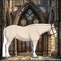 Horse Color:Cremello Splash 