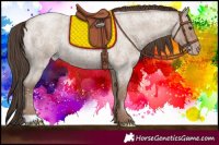 Horse Color:Classic Champagne Roan