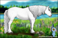 Horse Color:Gray Chestnut Tobiano Appaloosa