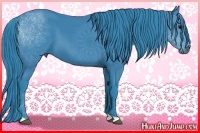 Horse Color:Watercolor Black 