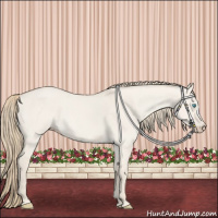 Horse Color:Smoky Creme Roan Dun 