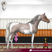 Horse Color:Silver Blue Roan Tobiano