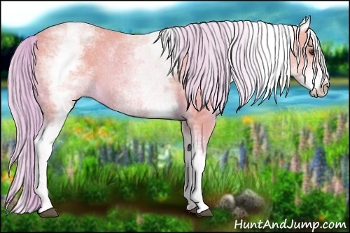 Horse Color:Watercolor White Spotted Palomino