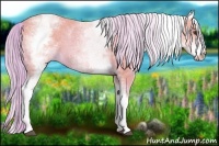 Horse Color:Watercolor White Spotted Palomino 