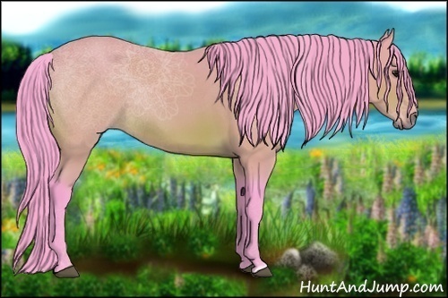 Horse Color:Watercolor Bay Rabicano 