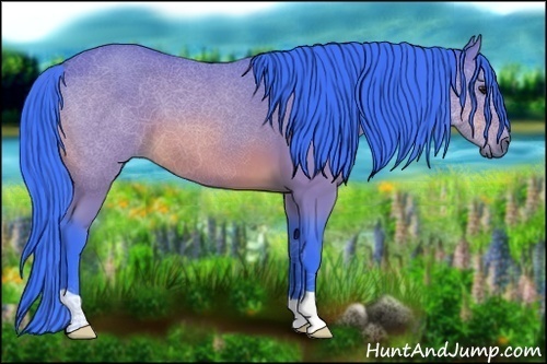 Horse Color:Watercolor Bay 