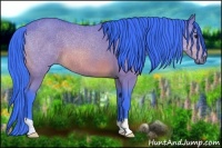 Horse Color:Watercolor Bay 