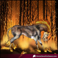 Horse Color:White Spotted Brown 