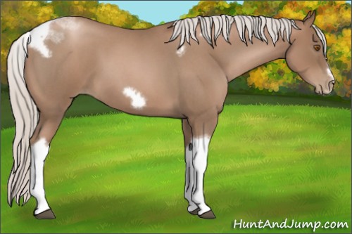 Horse Color:Silver Blue Roan Pearl Tobiano Frame 