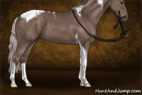 Horse Color:Silver Black Tobiano