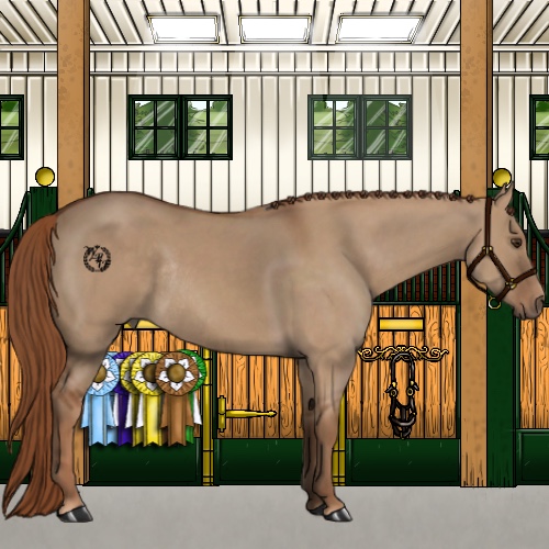Horse Color:Red Dun Rabicano