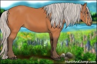 Horse Color:Silver Bay